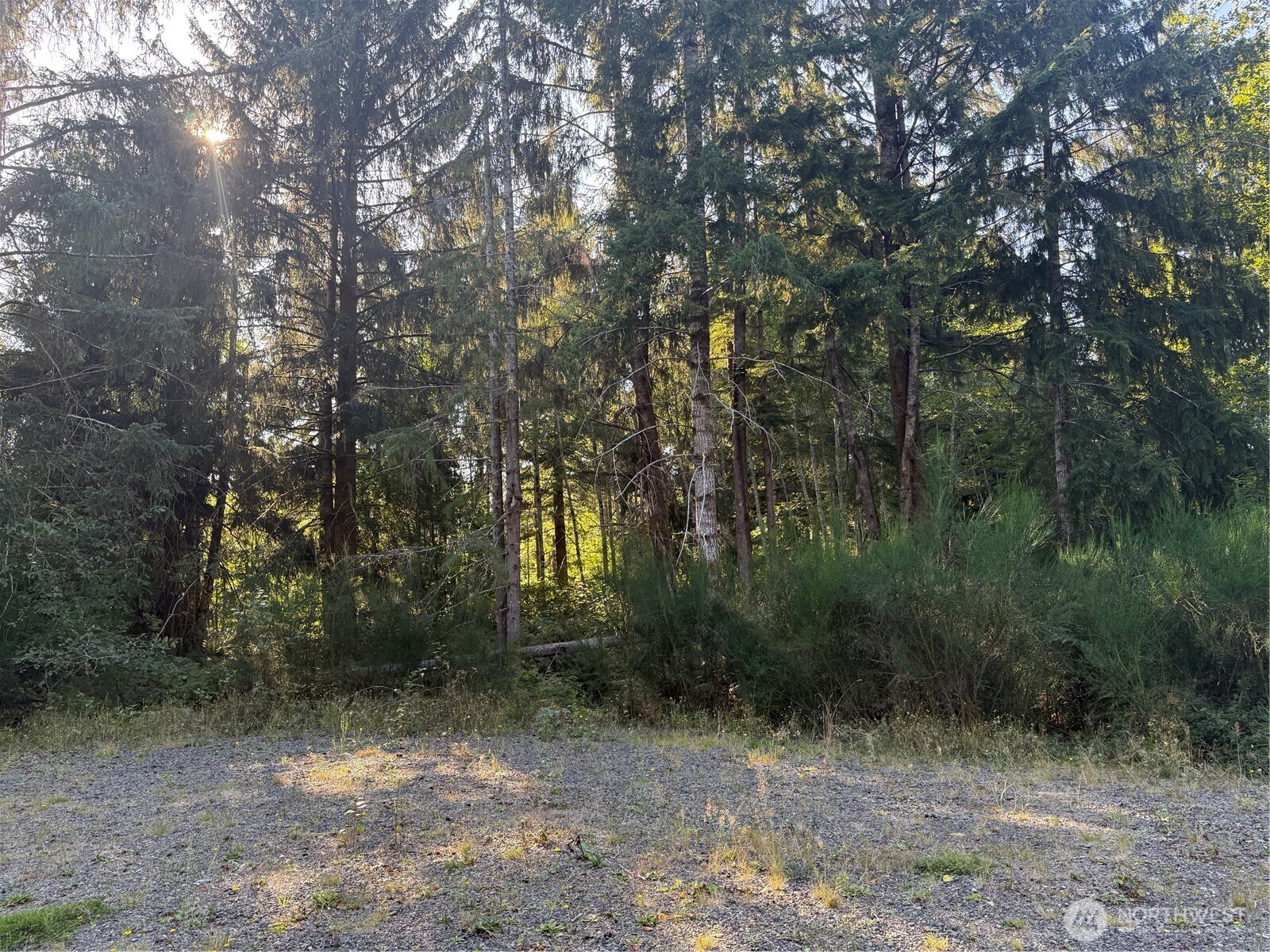 99918 Thomas Court Property Photo 1