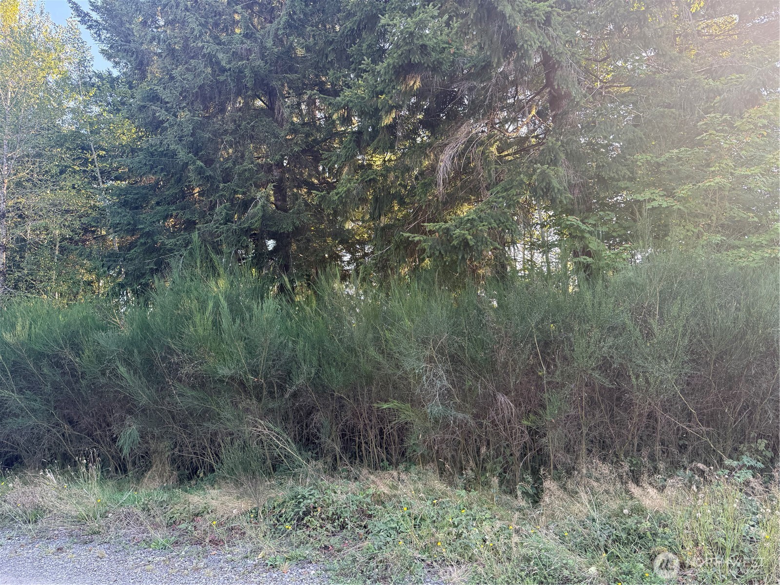 99918 Thomas Court Property Photo 3