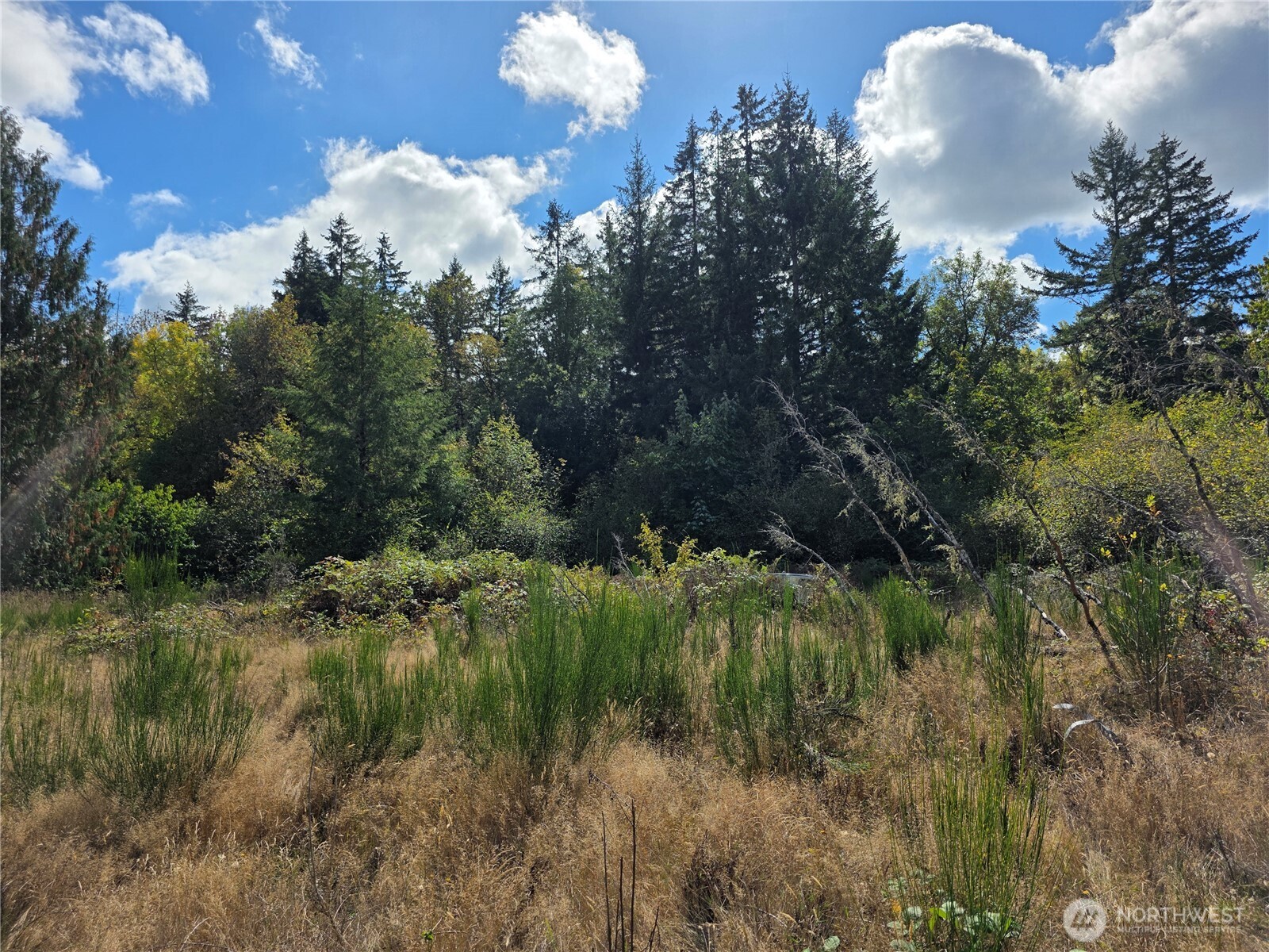 400 Marion Street Property Photo 1