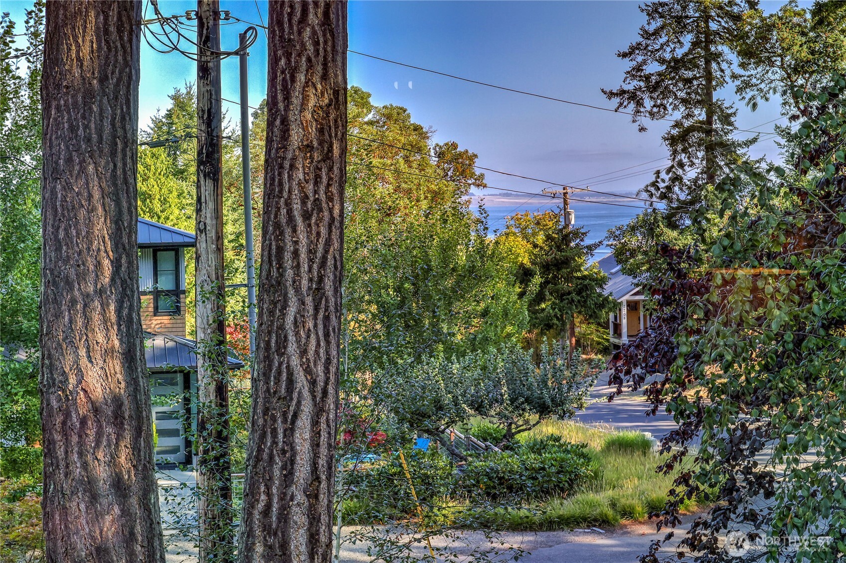 1925 Walnut Street Property Photo 33