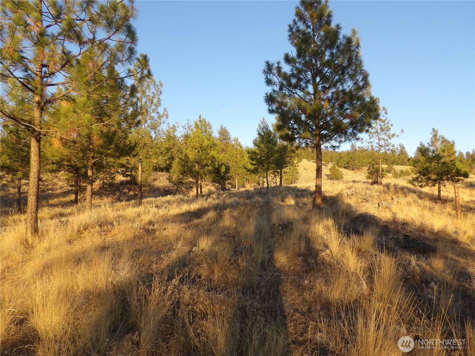 0 Tbd Bear Camp Road Property Photo 1