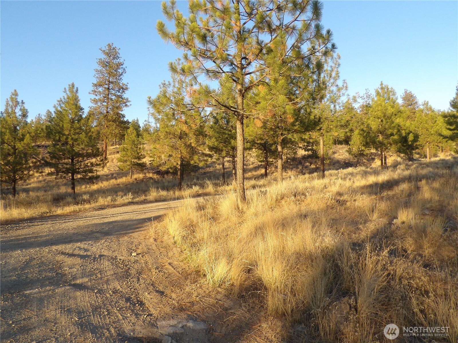 0 Tbd Bear Camp Road Property Photo 2
