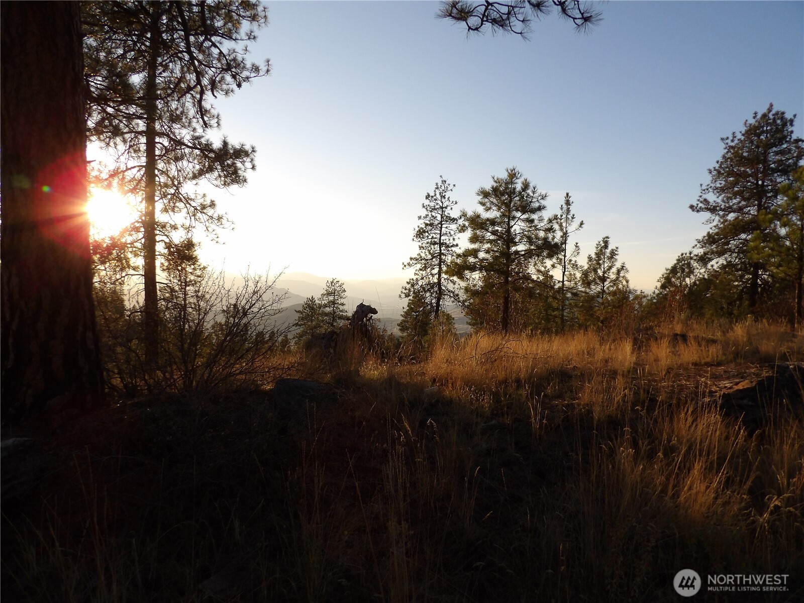 0 Tbd Bear Camp Road Property Photo 3