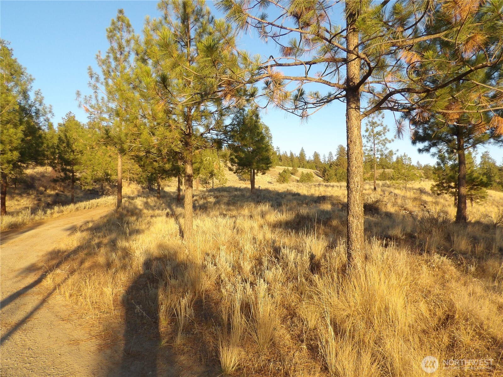 0 Tbd Bear Camp Road Property Photo 4