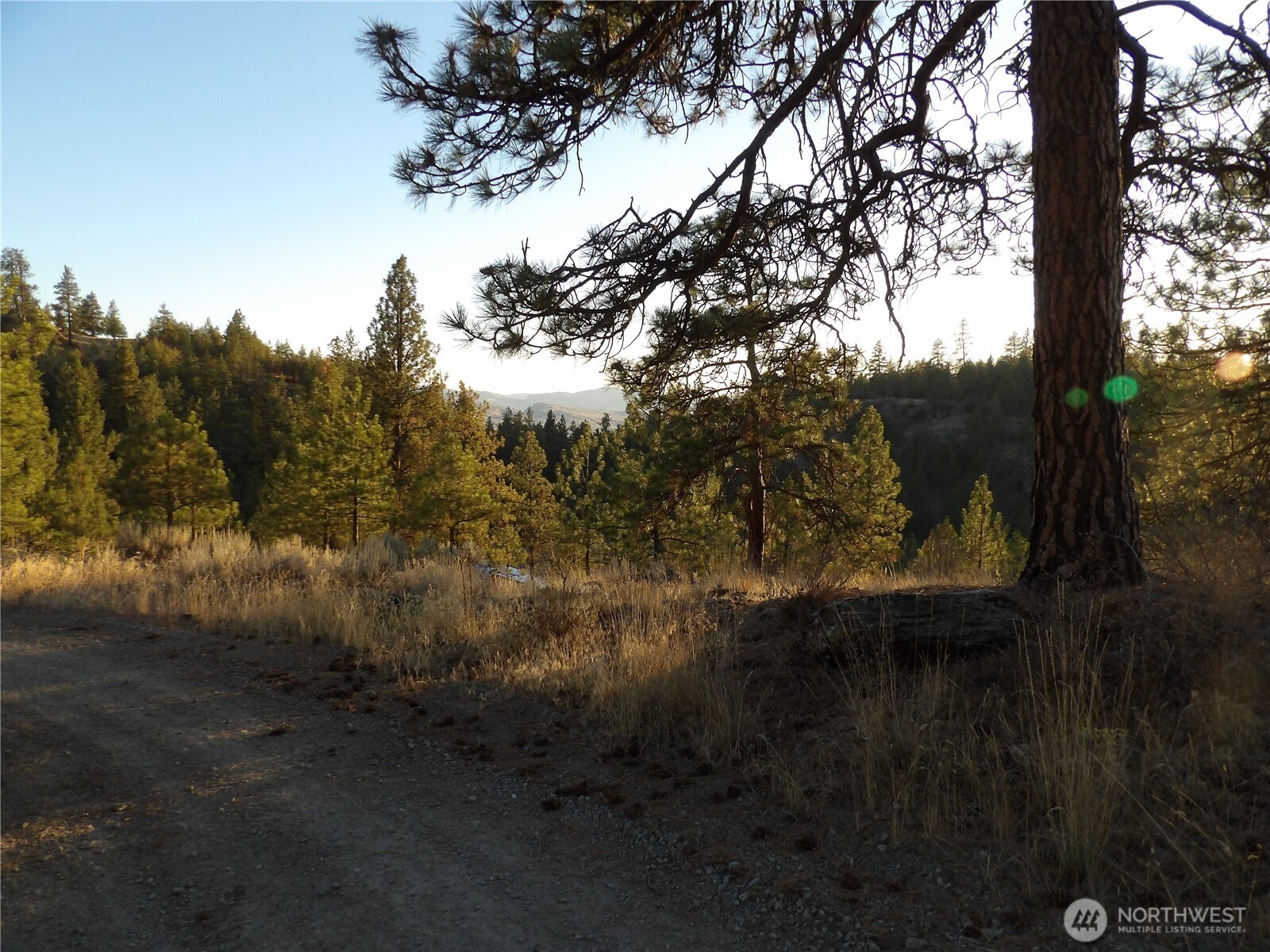 0 Tbd Bear Camp Road Property Photo 5
