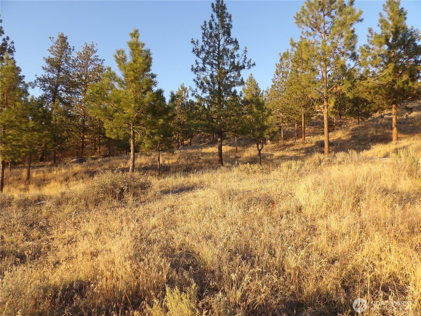 0 Tbd Bear Camp Road Property Photo 6