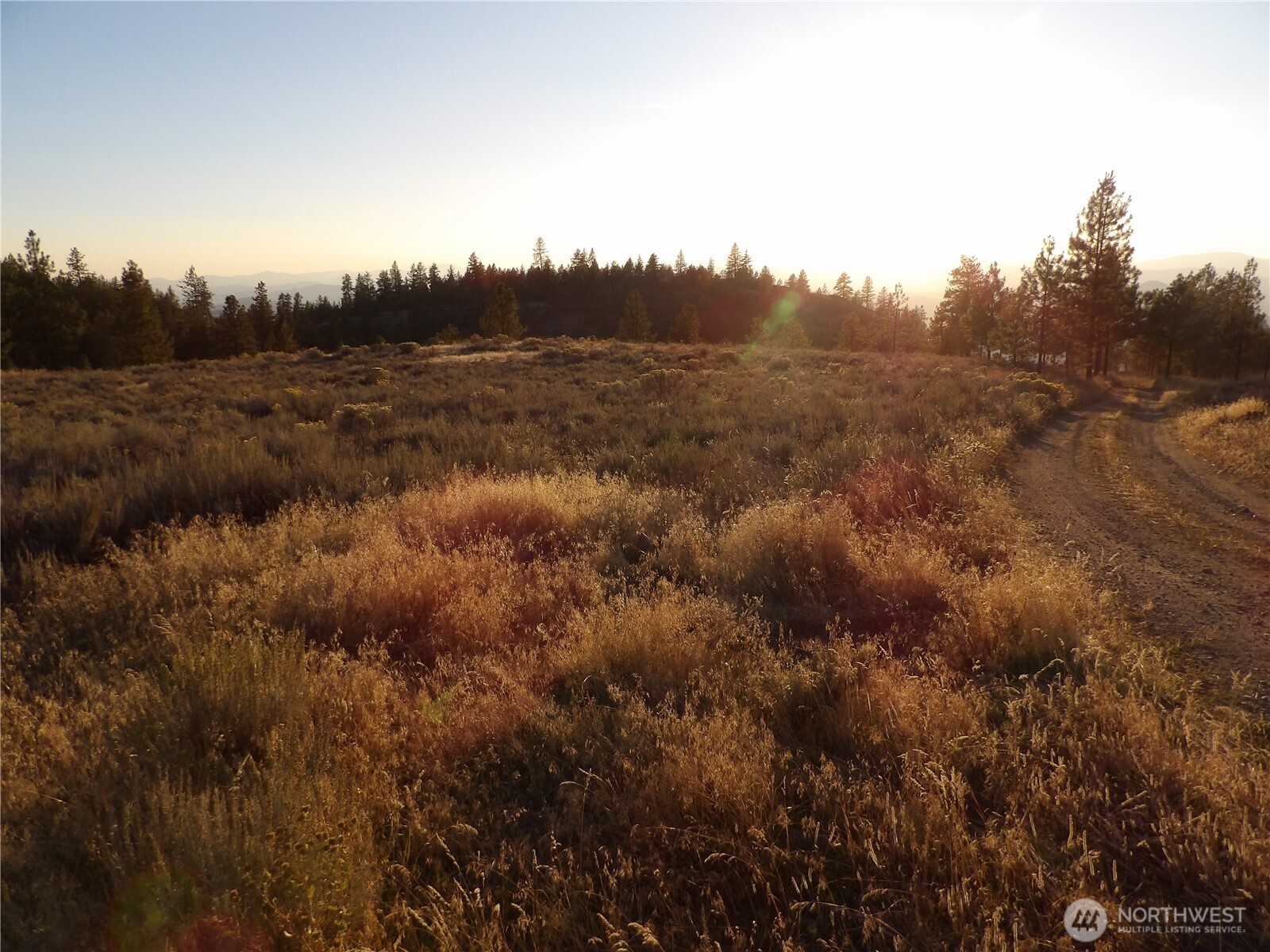 0 Tbd Bear Camp Road Property Photo 7
