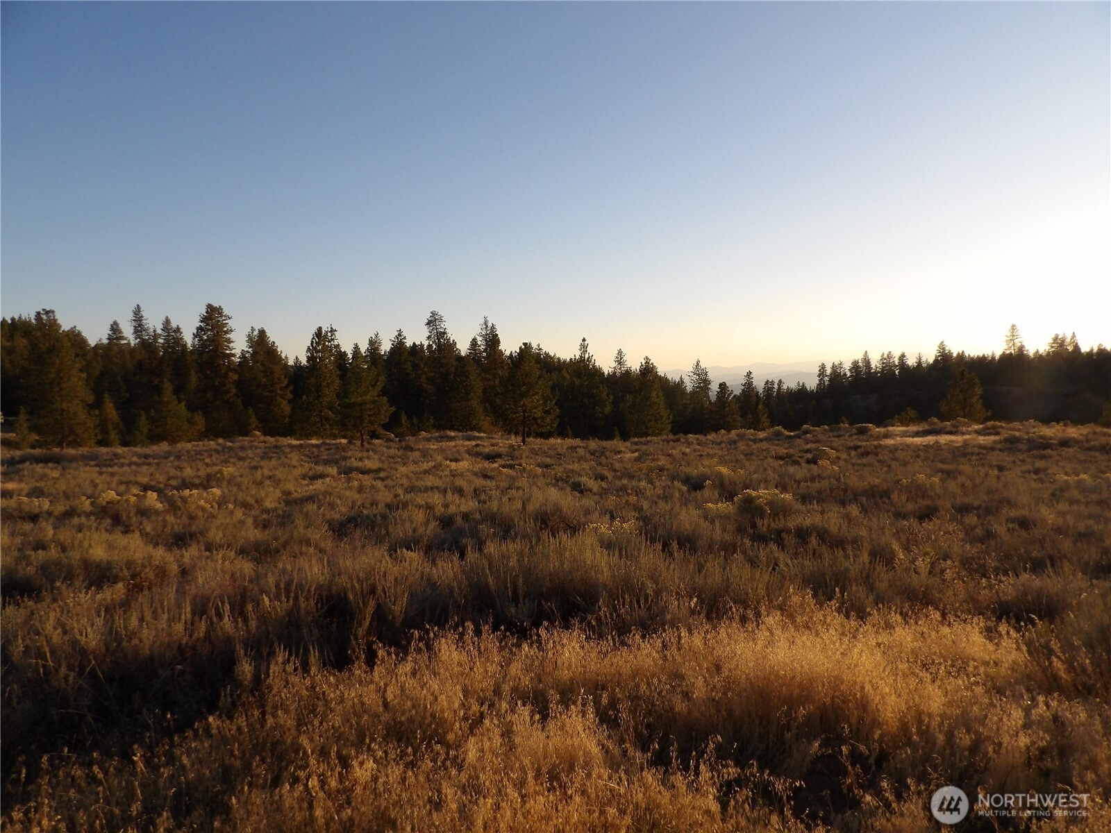 0 Tbd Bear Camp Road Property Photo 8