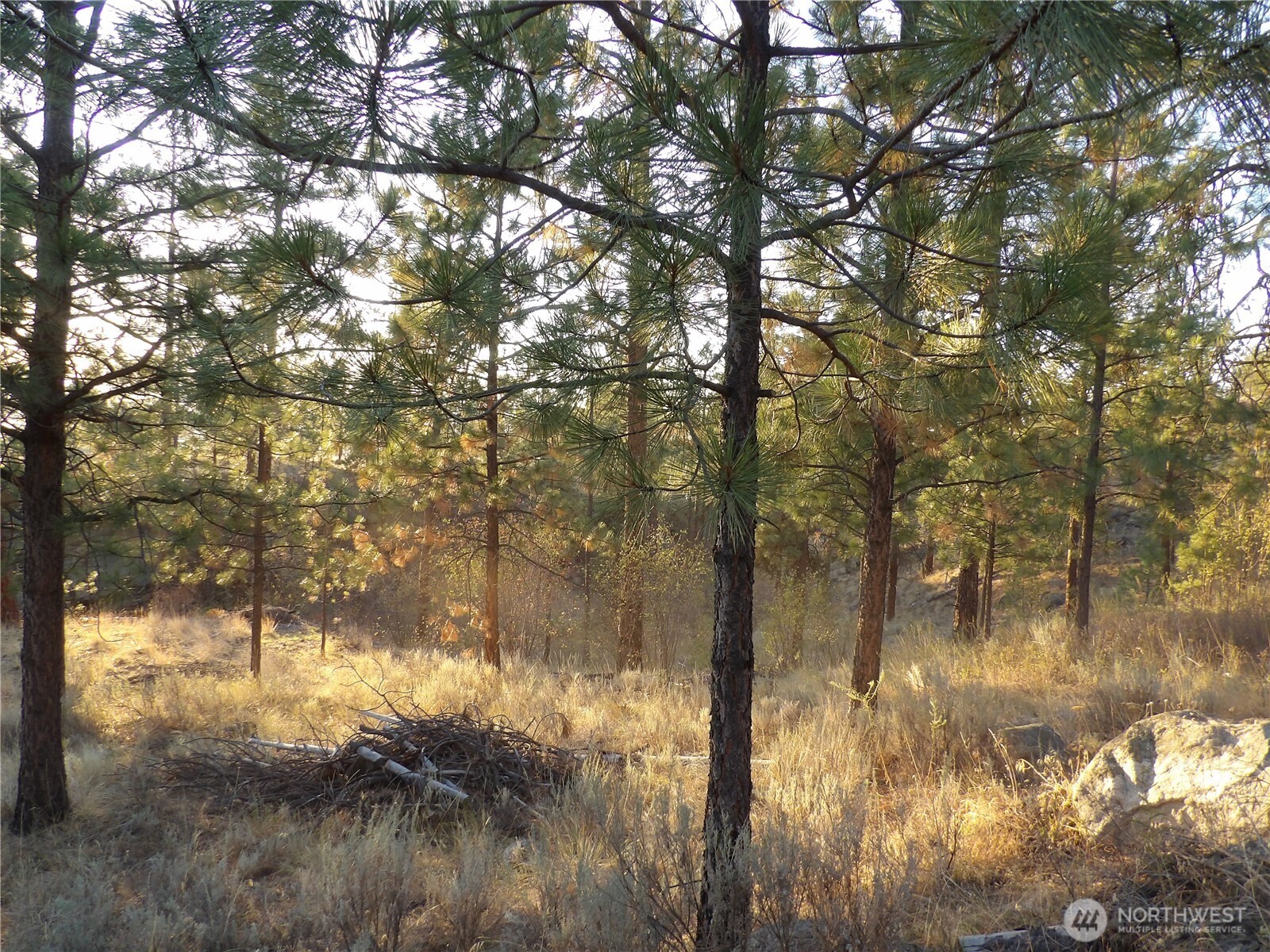 0 Tbd Bear Camp Road Property Photo 9
