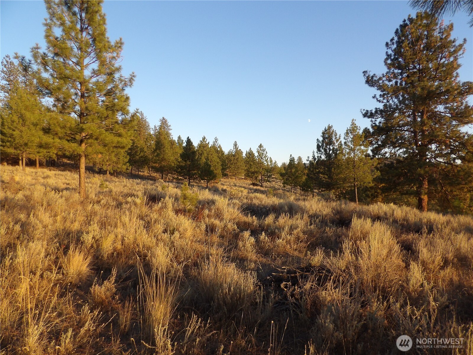 0 Tbd Bear Camp Road Property Photo 10