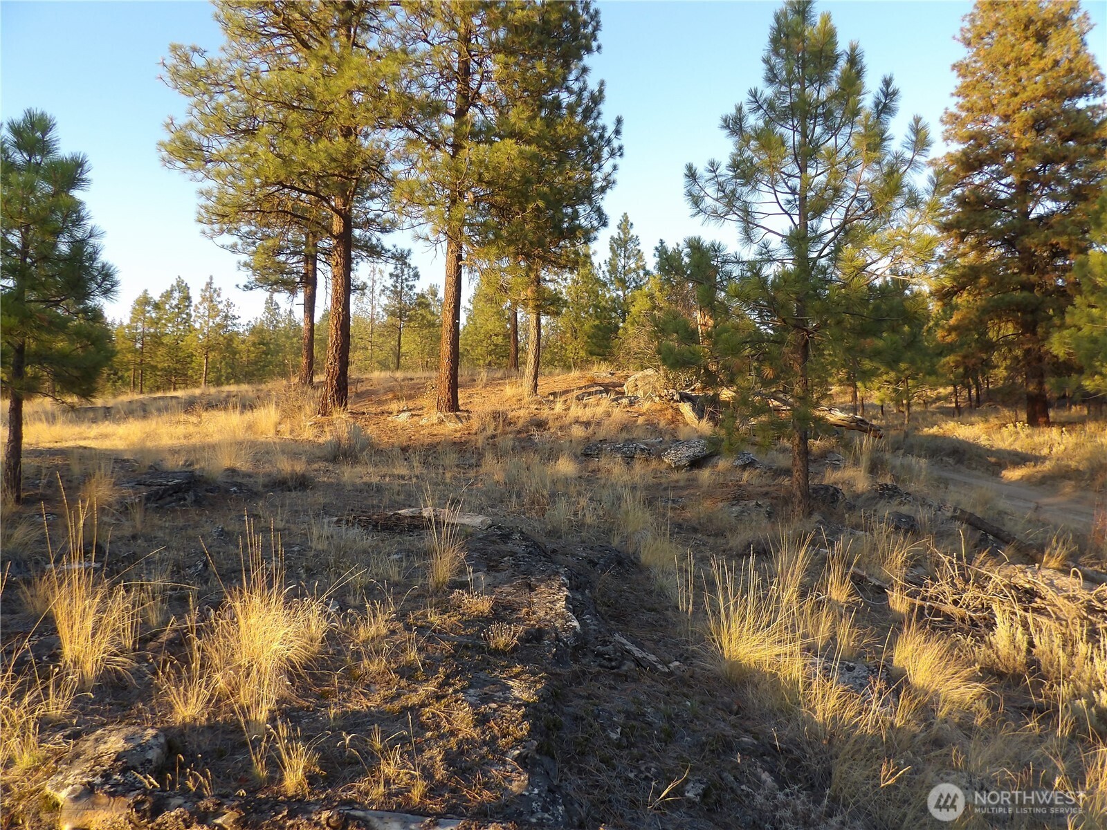 0 Tbd Bear Camp Road Property Photo 11