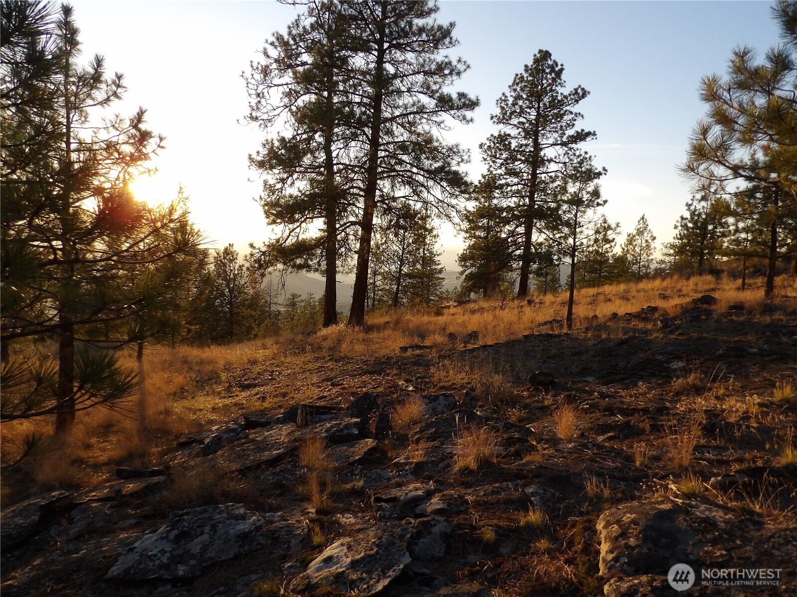 0 Tbd Bear Camp Road Property Photo 12