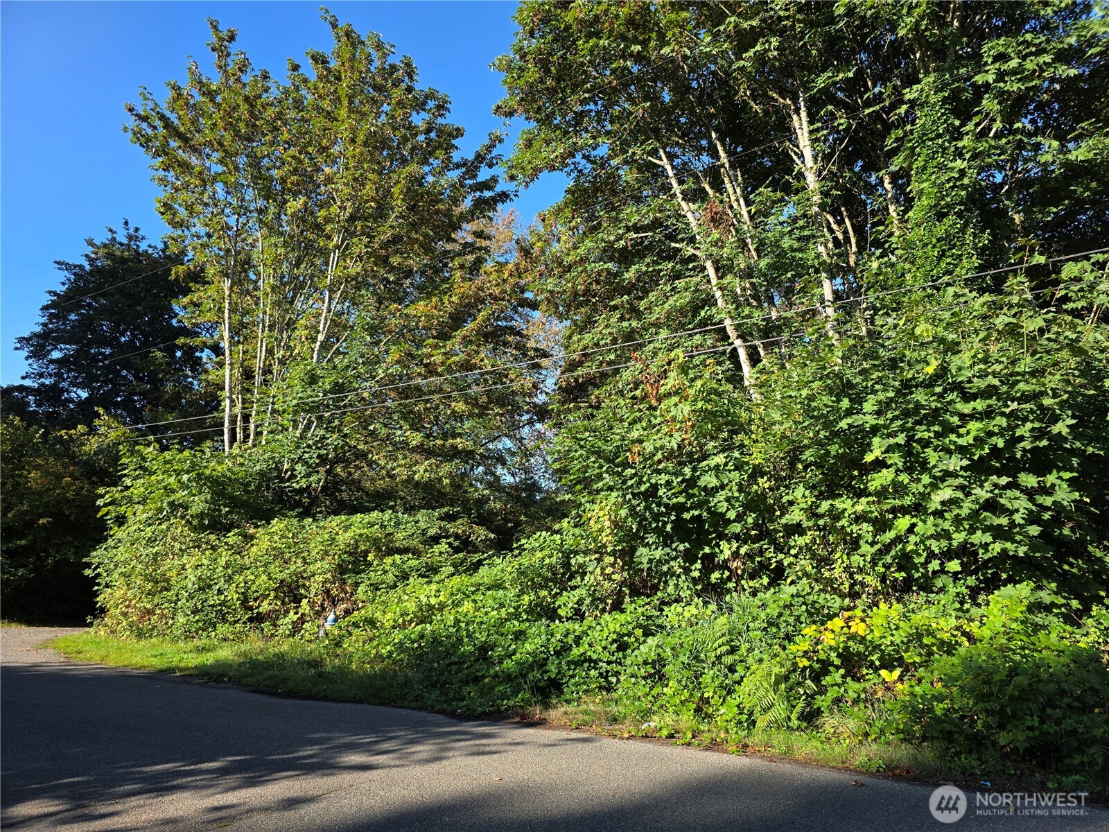 0 Huston Street Property Photo 2