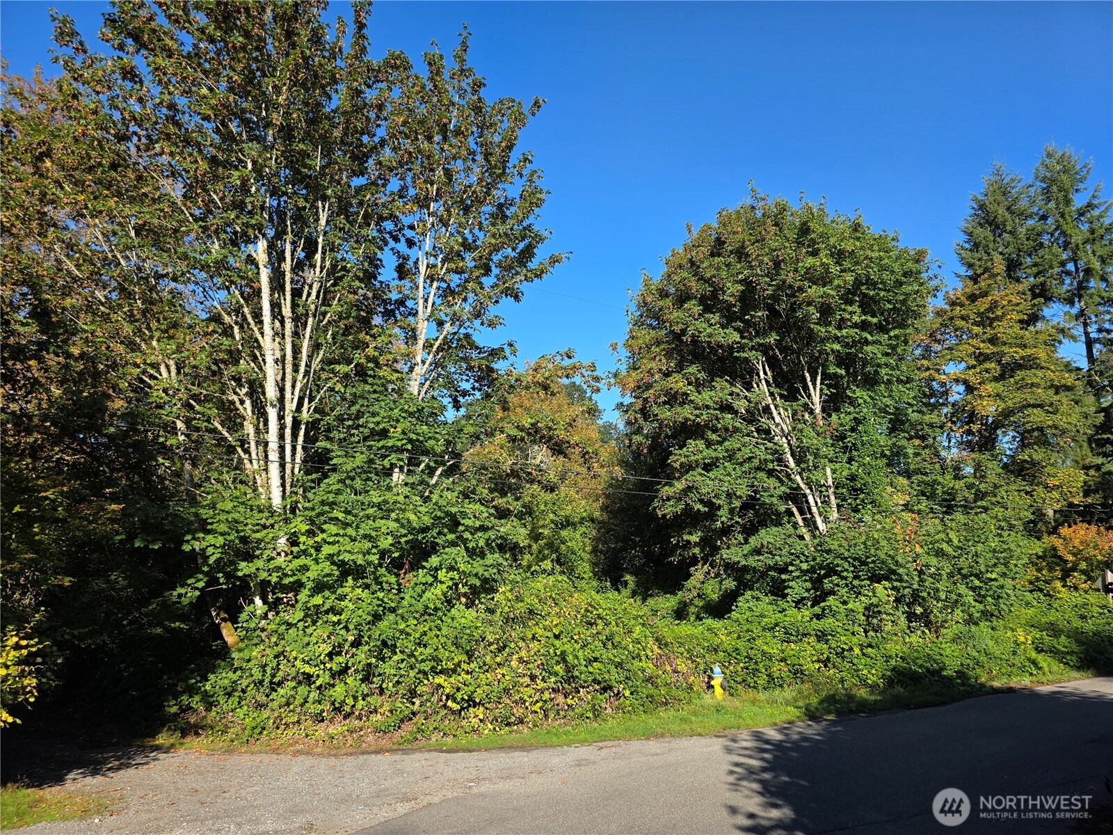 0 Huston Street Property Photo 3