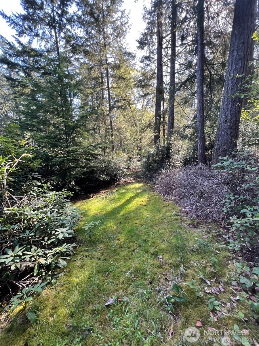 10702 Pioneer Drive Property Photo 4