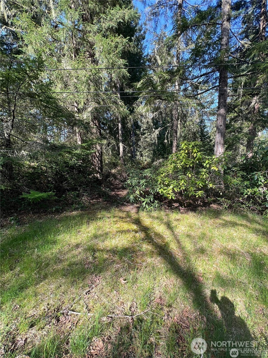 10702 Pioneer Drive Property Photo 5
