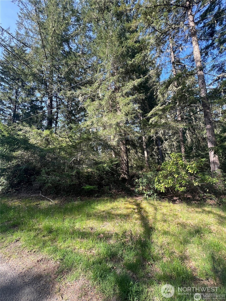10702 Pioneer Drive Property Photo 6