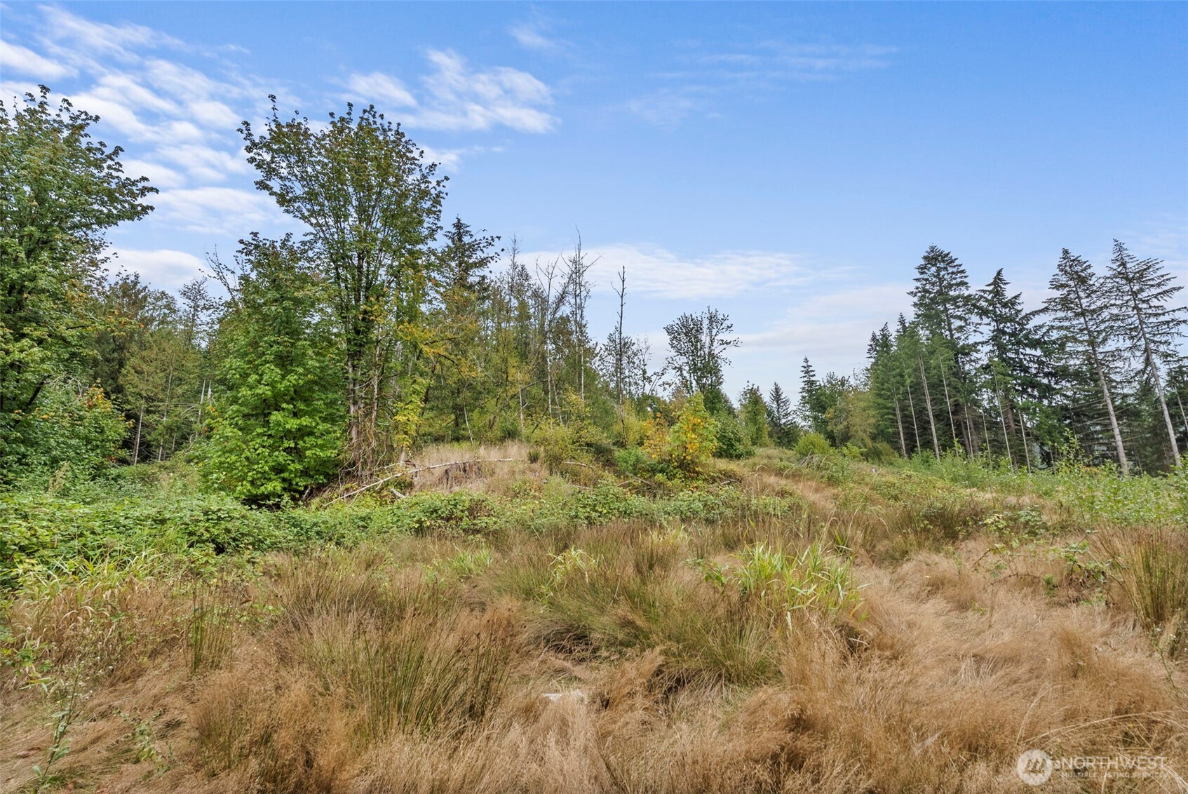 0 Coal Creek Road Property Photo 3