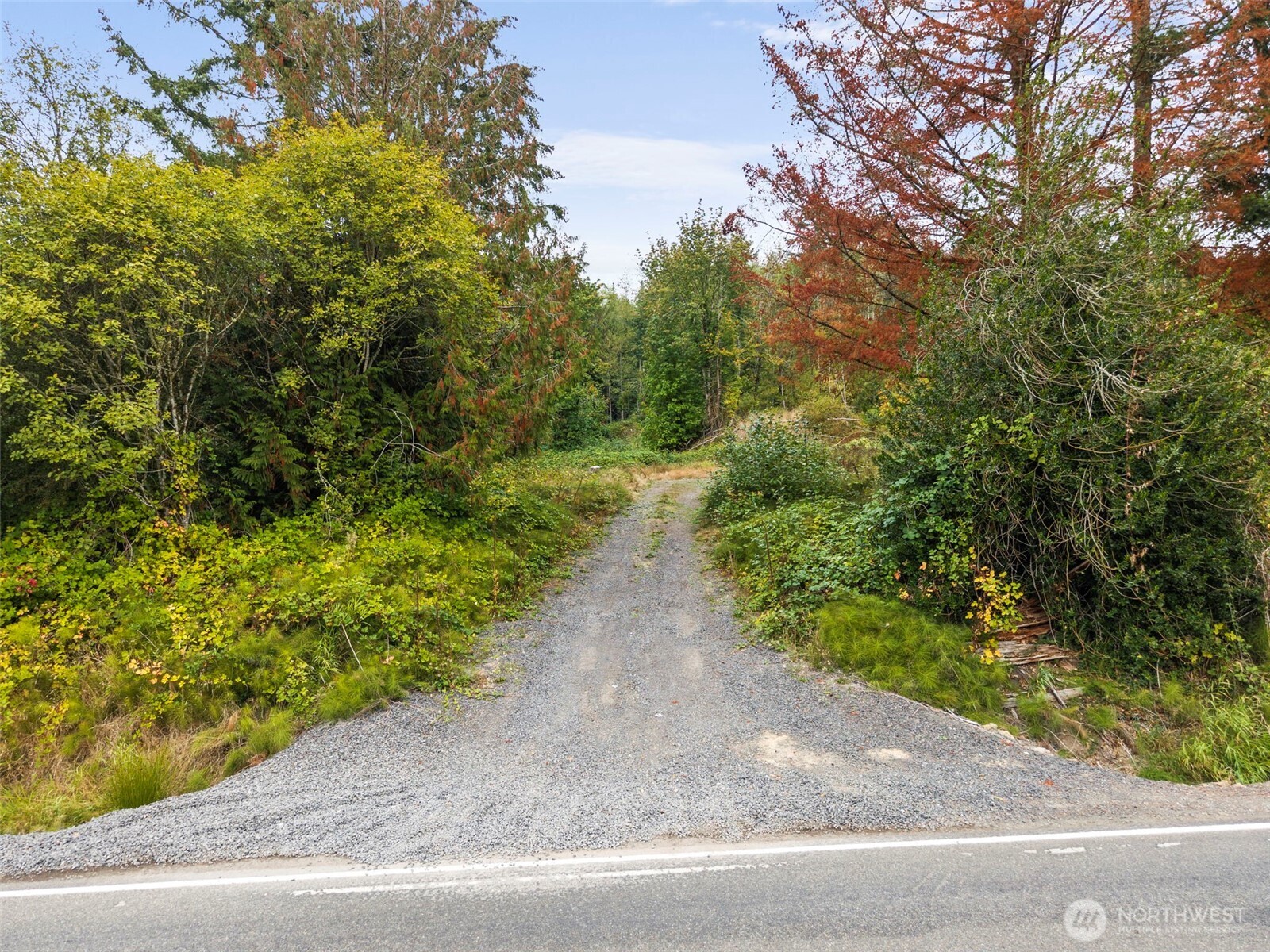 0 Coal Creek Road Property Photo 4