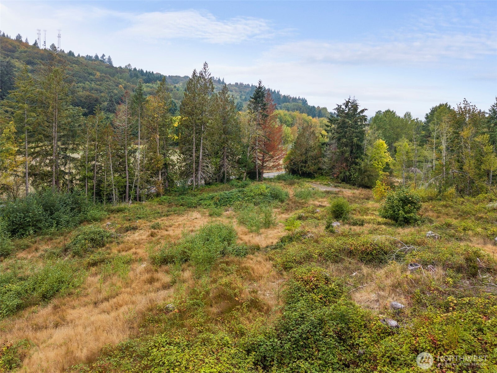 0 Coal Creek Road Property Photo 5