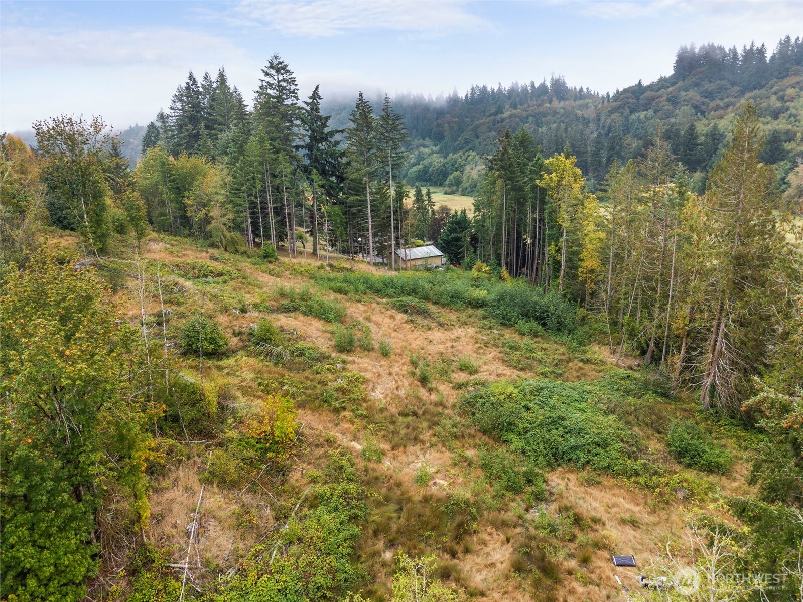 0 Coal Creek Road Property Photo 6