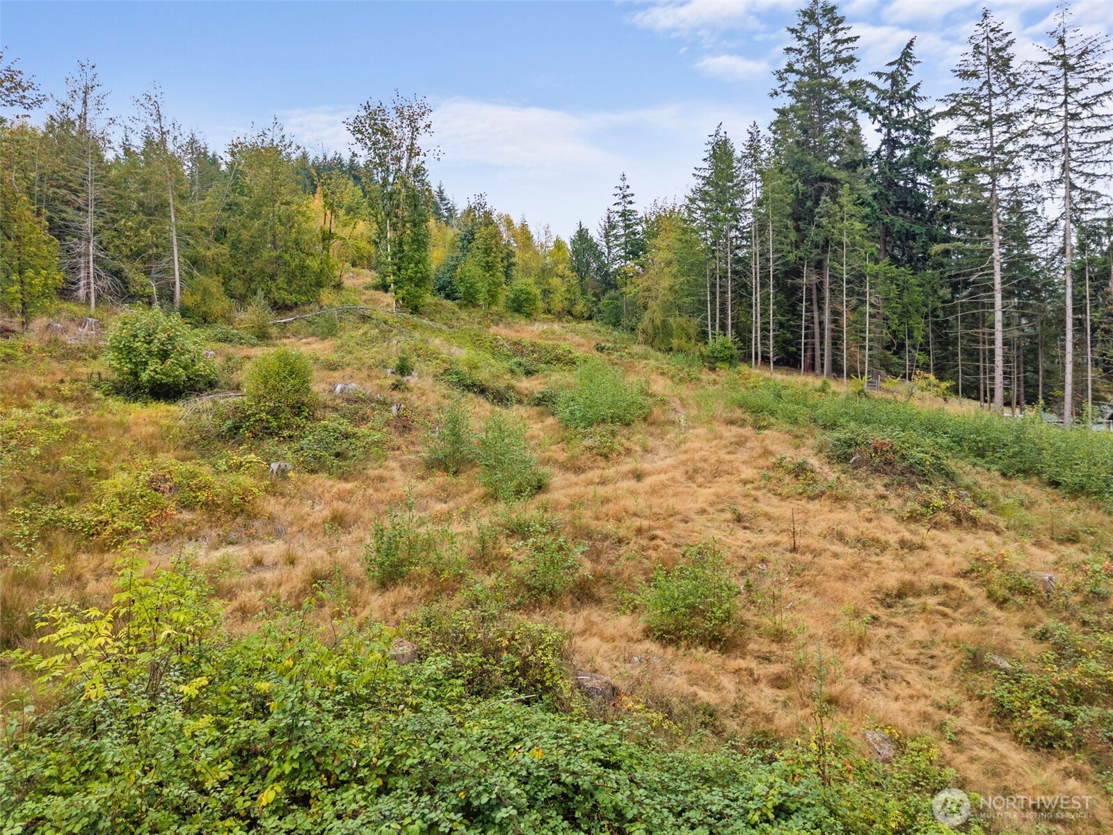 0 Coal Creek Road Property Photo 7