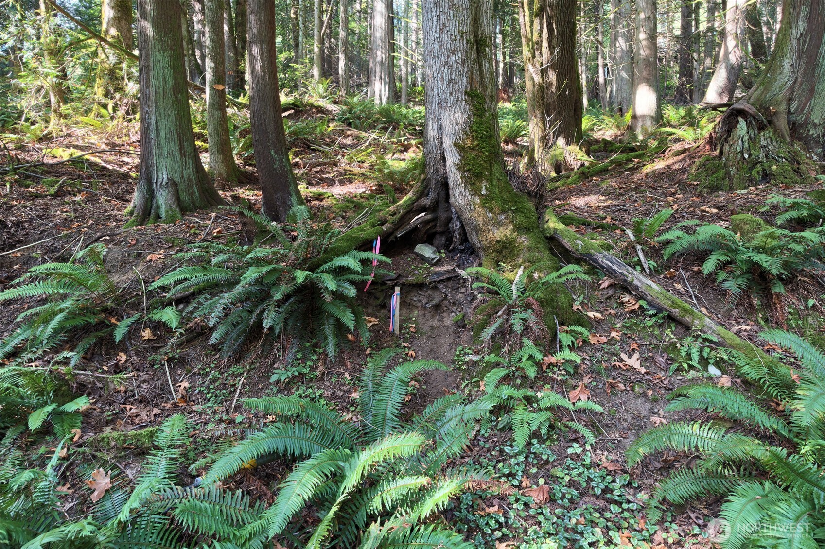 14 Harbor View Drive Property Photo 1