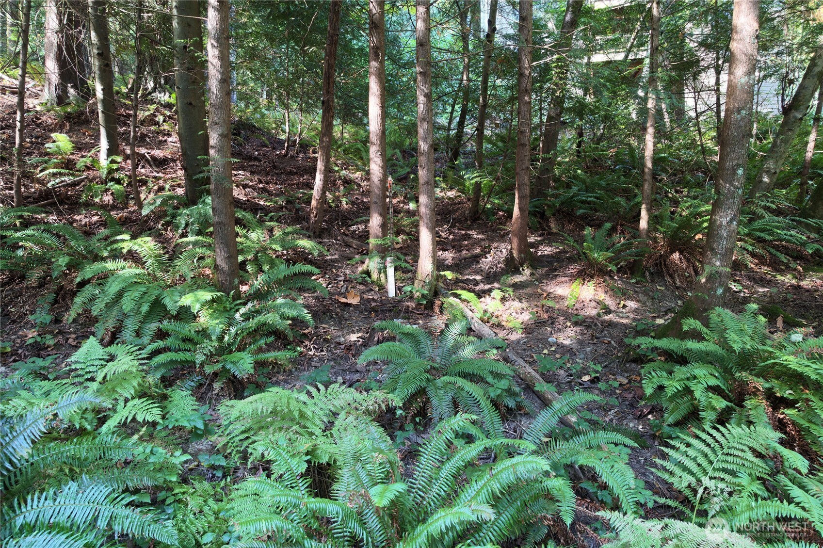 14 Harbor View Drive Property Photo 12