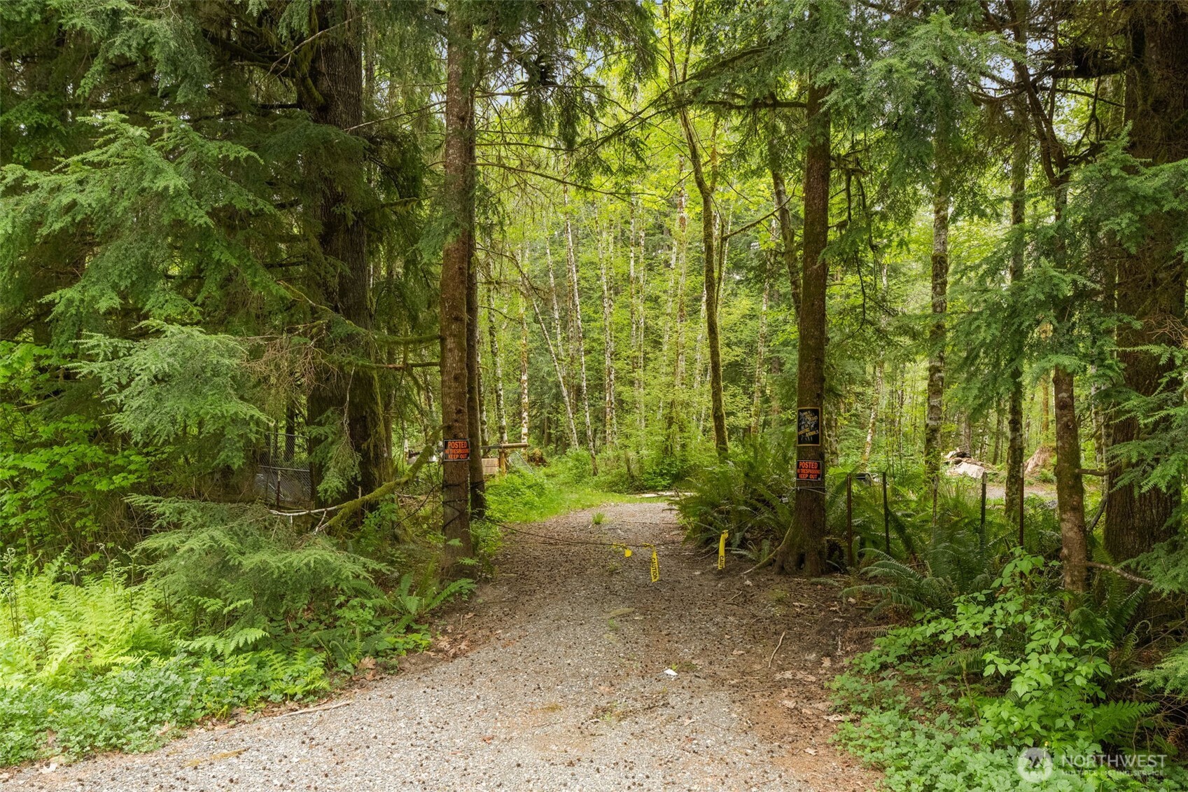 31212 Mountain Loop Highway Property Photo 25