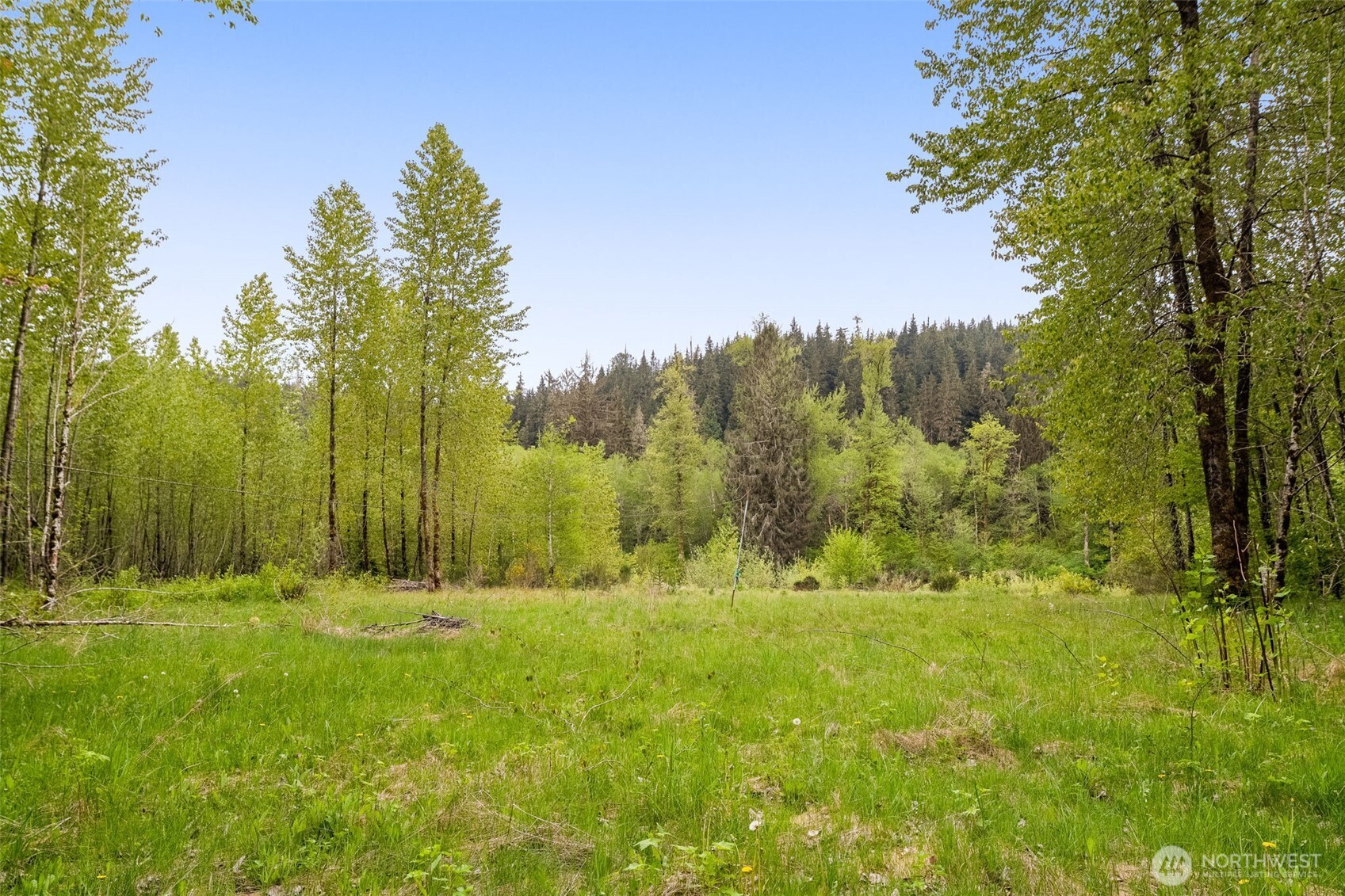 31212 Mountain Loop Highway Property Photo 28