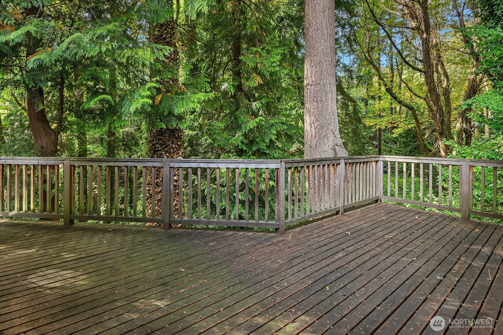 18415 51st Place Property Photo 20