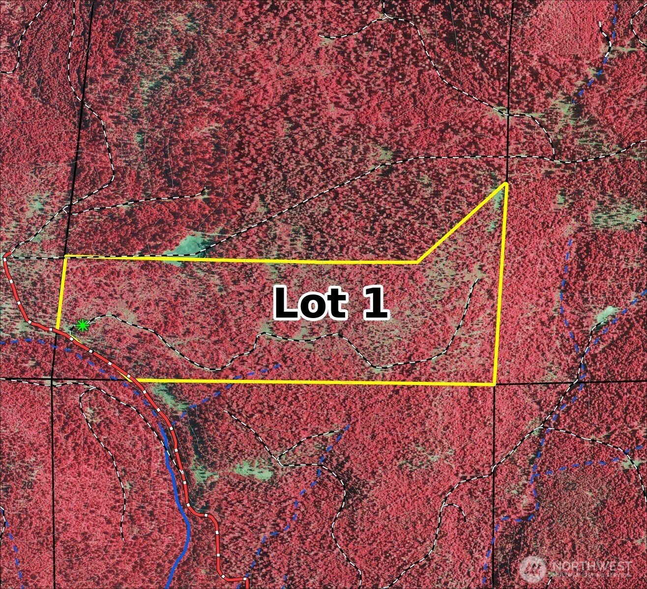 0 Lot 1 Simcoe Mountain Reserve Property Photo 3