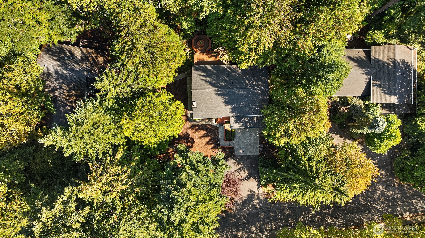 19314 103rd Avenue Property Photo 36
