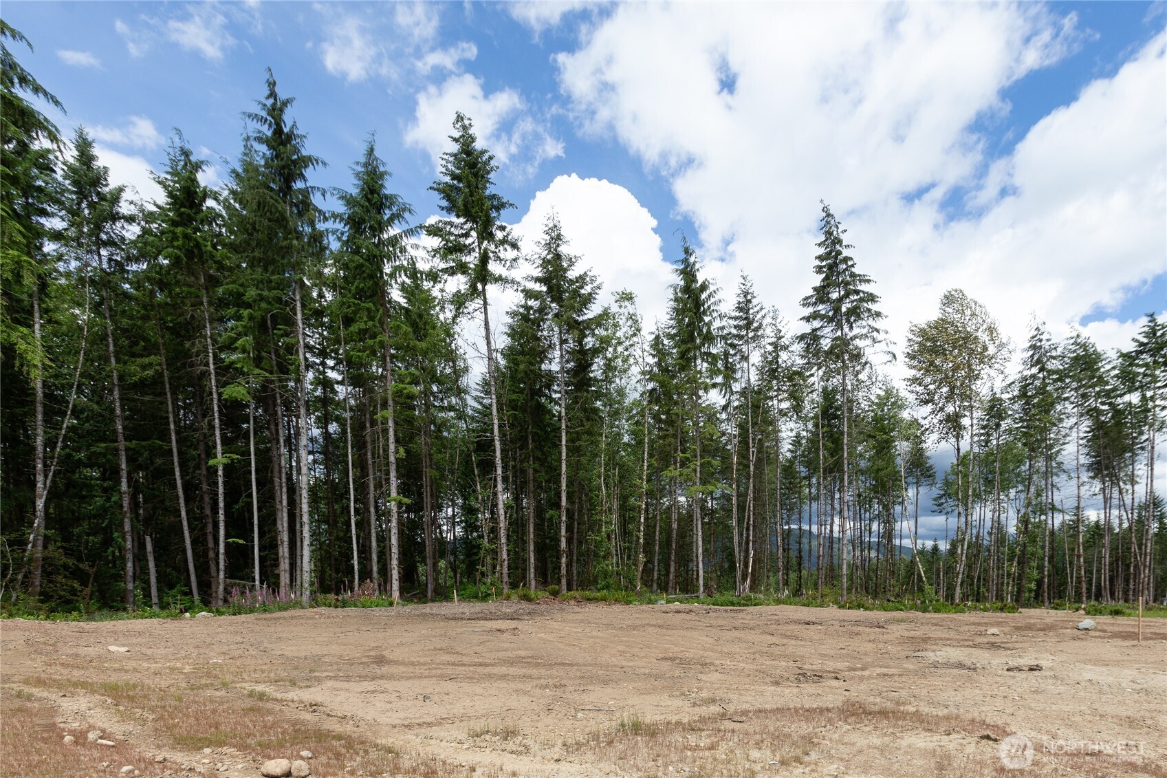 13105 129th Street Property Photo 6