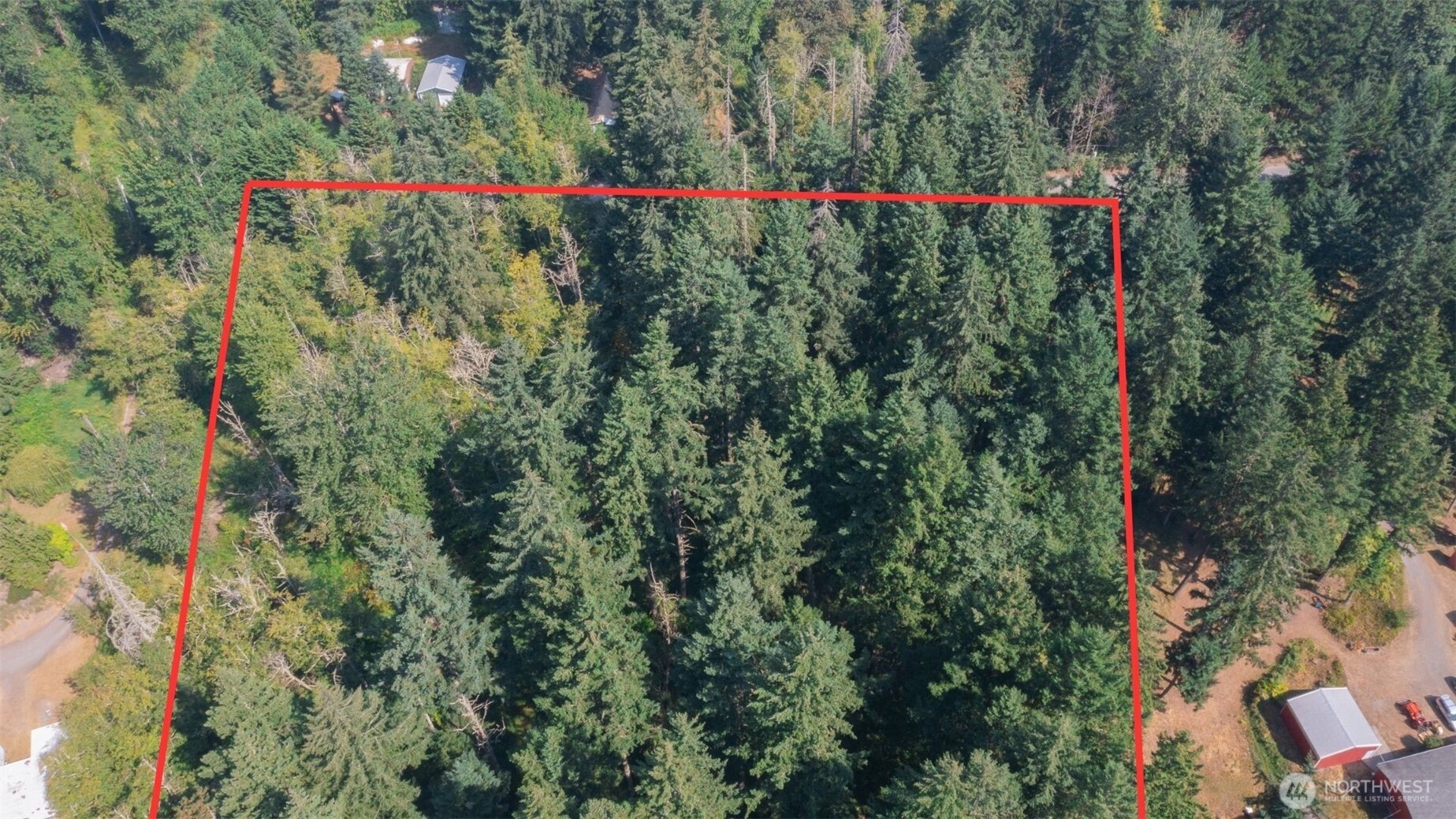 15903 246th Street Property Photo 5