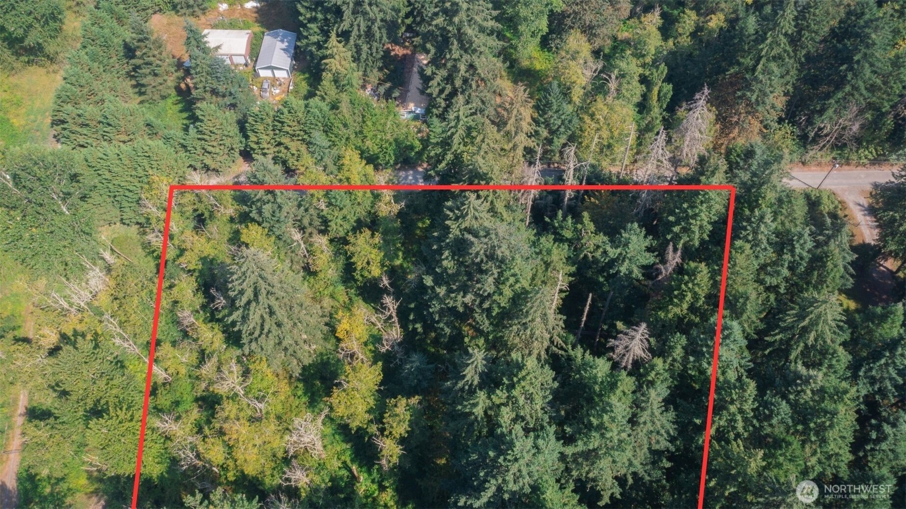 15903 246th Street Property Photo 6