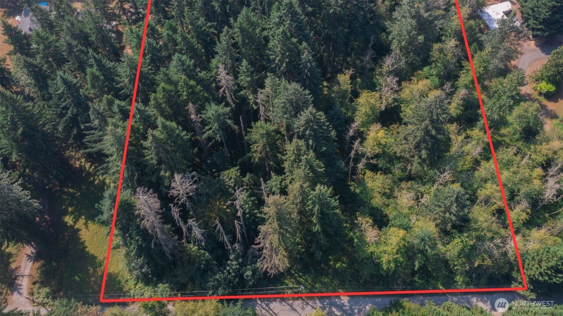 15903 246th Street Property Photo 8