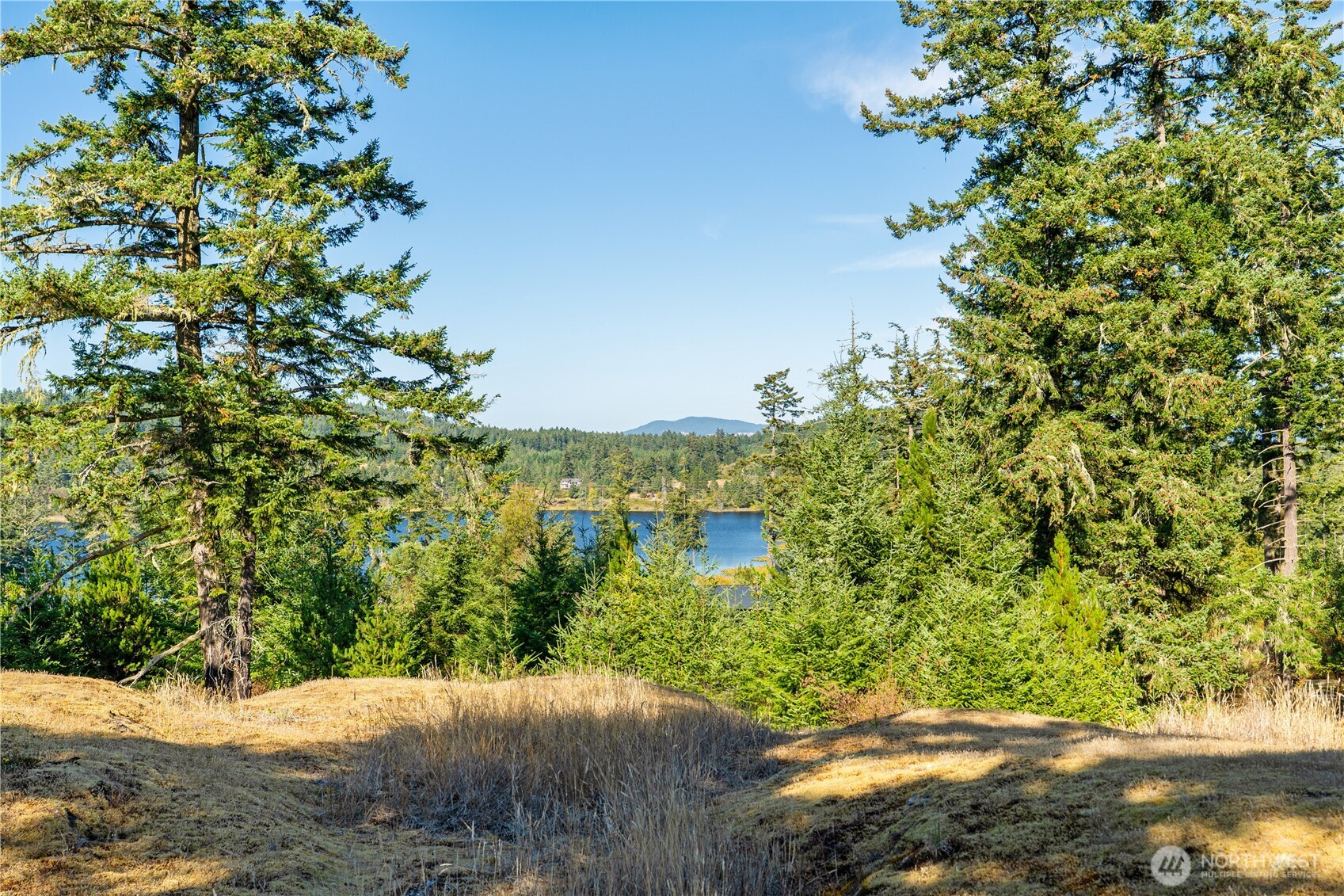 0 Woodpecker Lane Property Photo 1