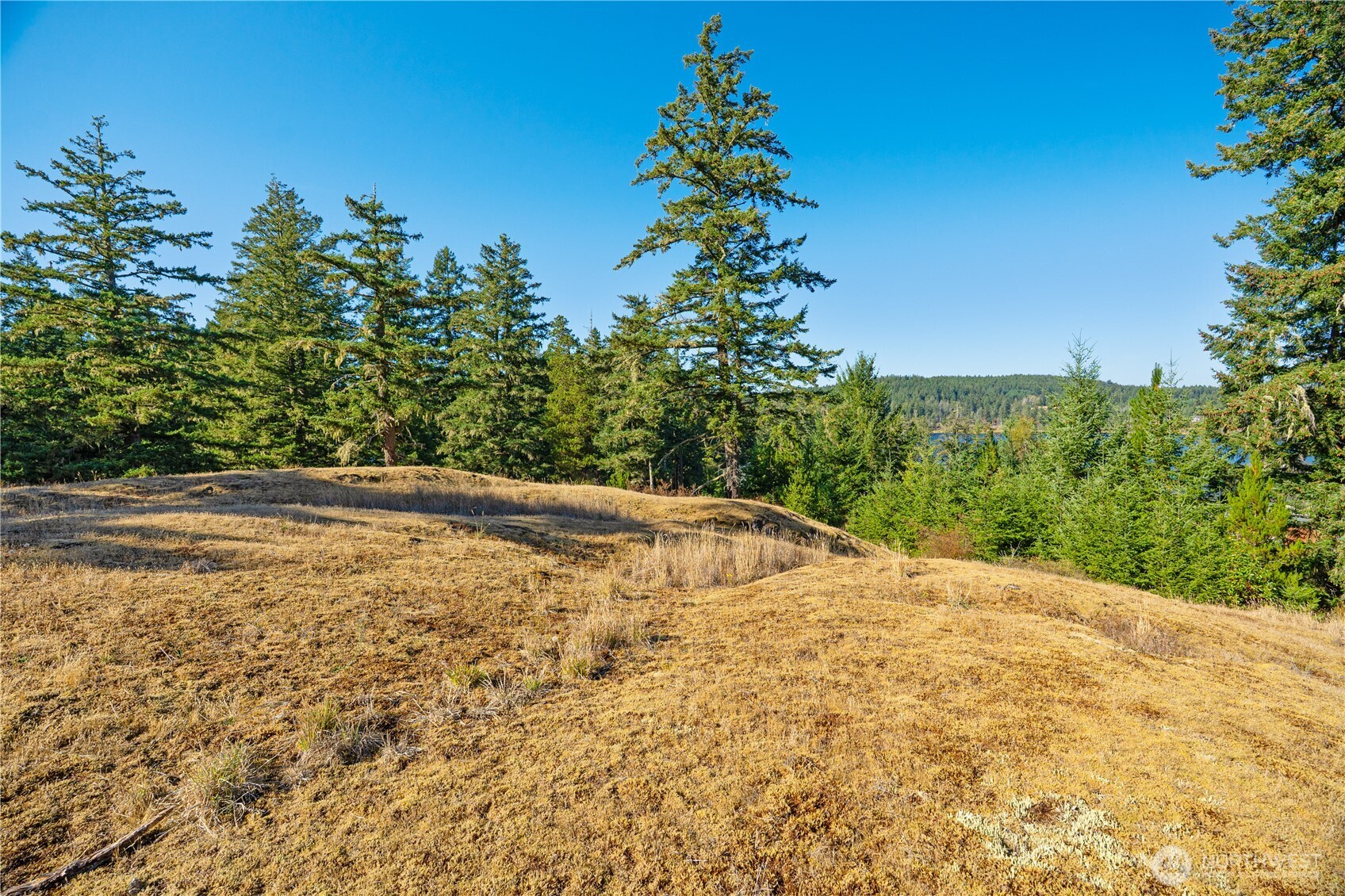 0 Woodpecker Lane Property Photo 3