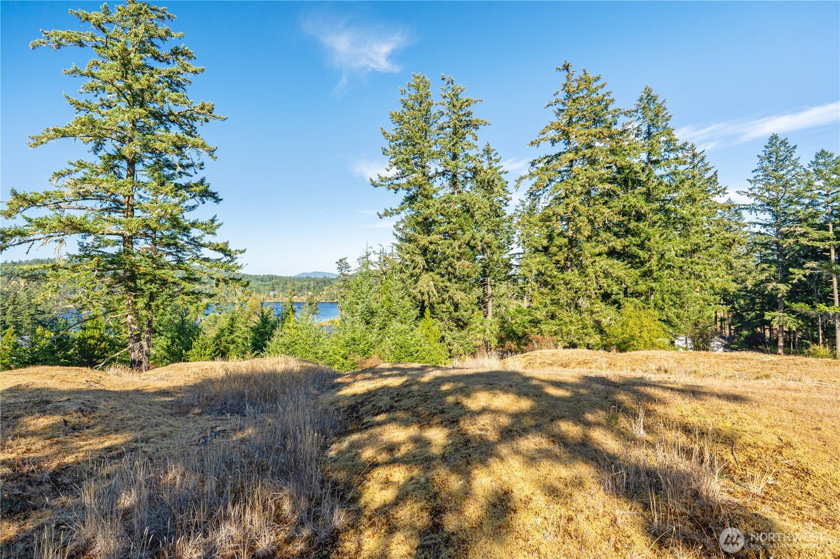 0 Woodpecker Lane Property Photo 4