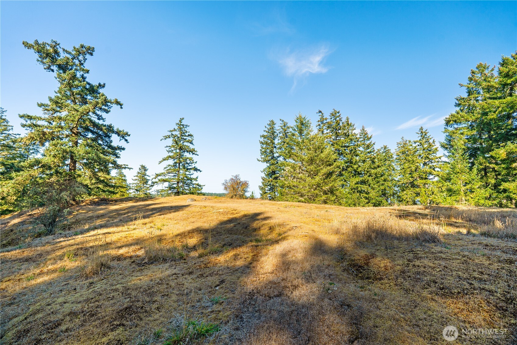 0 Woodpecker Lane Property Photo 7