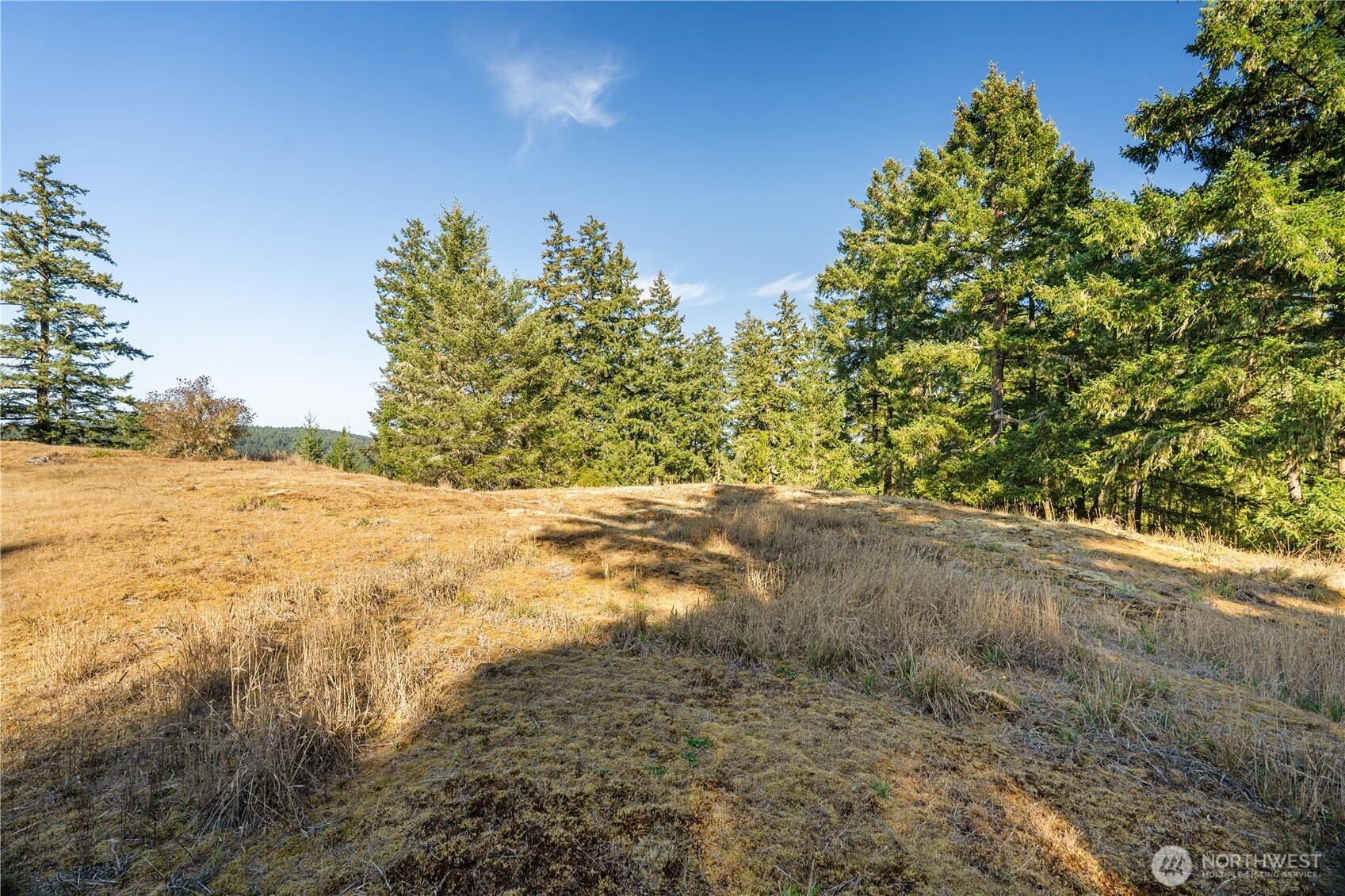 0 Woodpecker Lane Property Photo 8