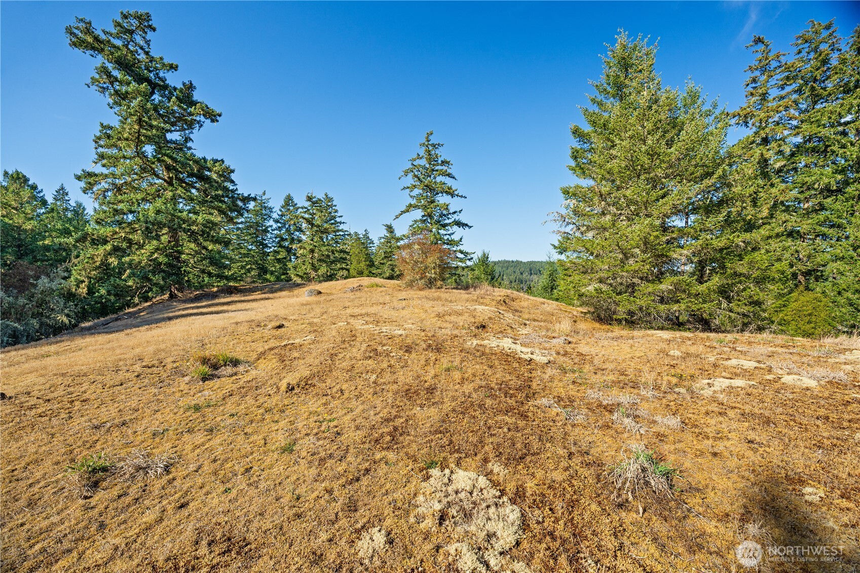 0 Woodpecker Lane Property Photo 10