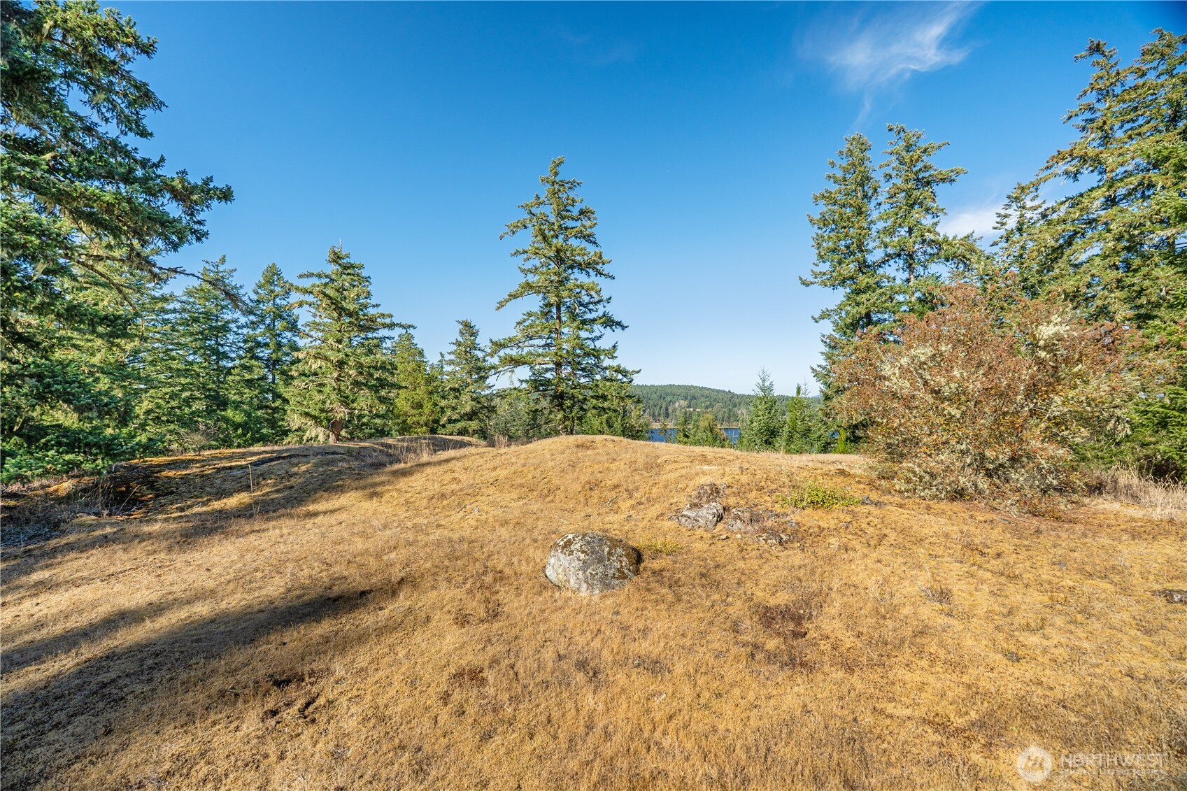 0 Woodpecker Lane Property Photo 11