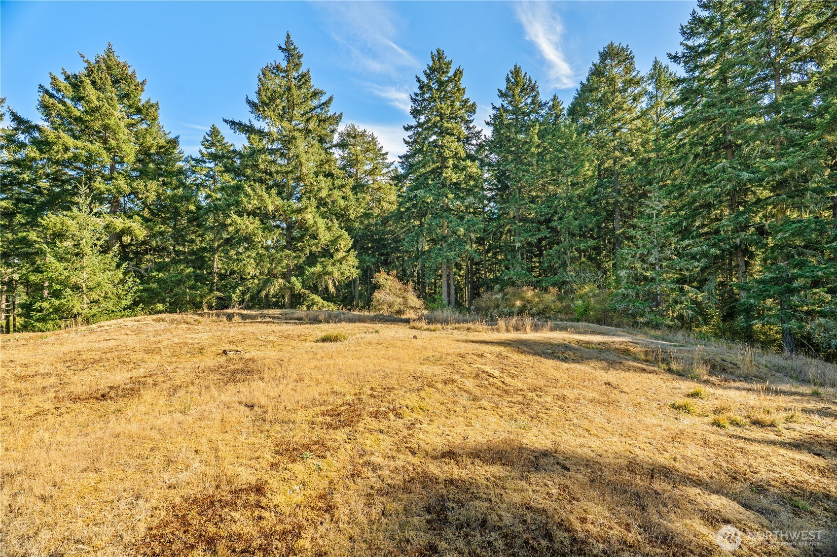 0 Woodpecker Lane Property Photo 12