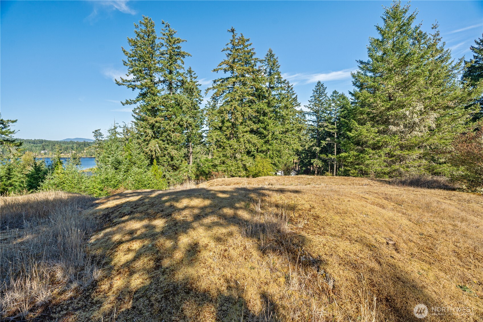 0 Woodpecker Lane Property Photo 13