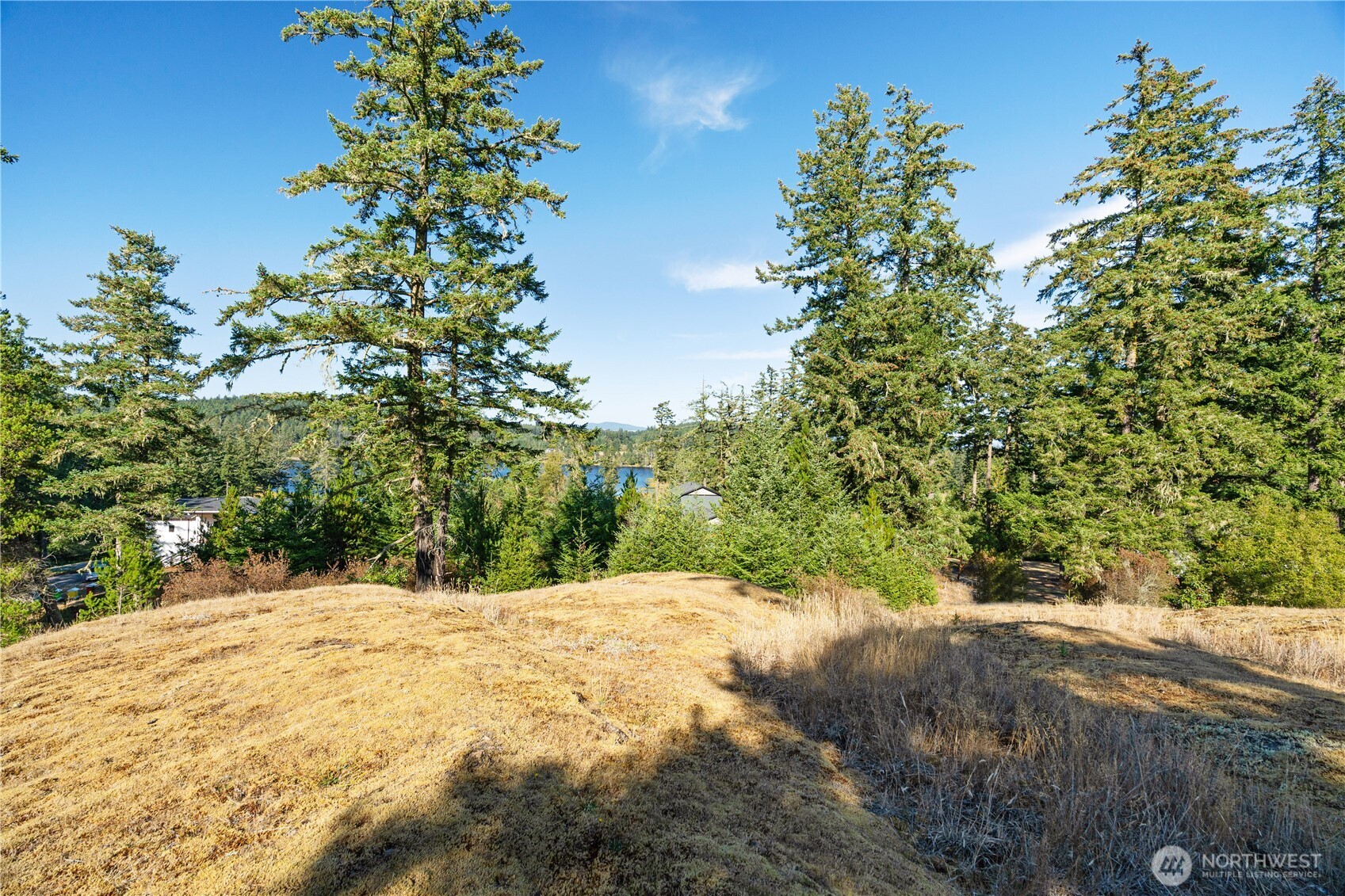 0 Woodpecker Lane Property Photo 14