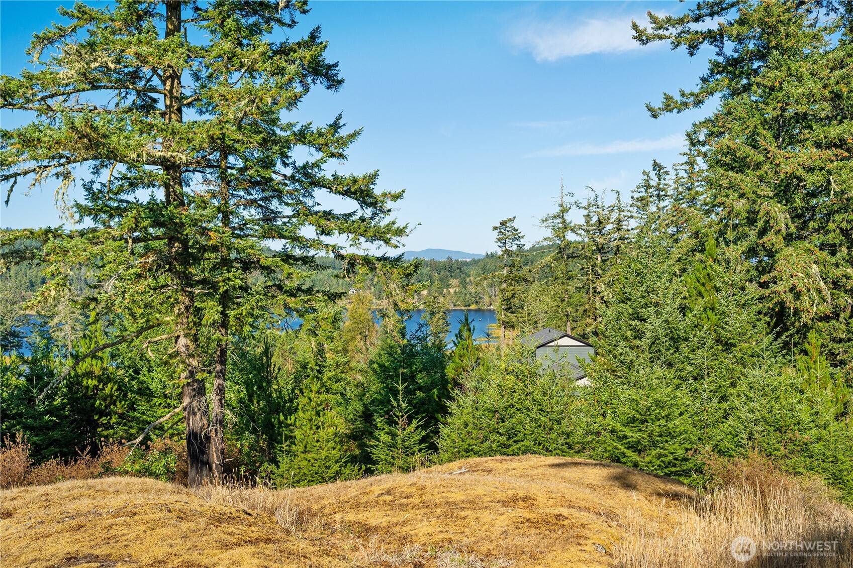 0 Woodpecker Lane Property Photo 15