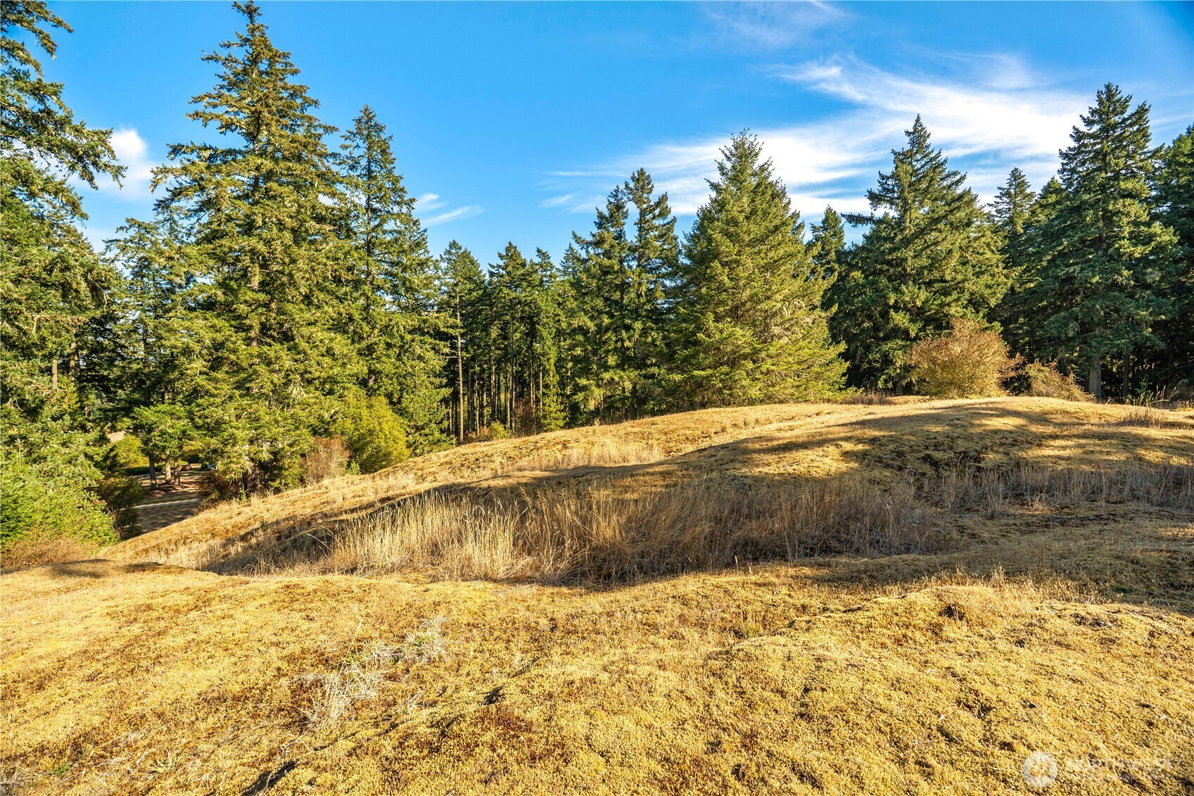 0 Woodpecker Lane Property Photo 16