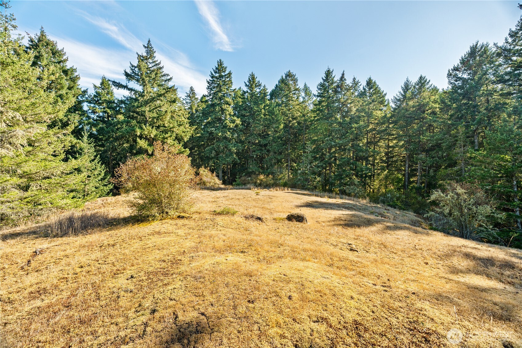 0 Woodpecker Lane Property Photo 17